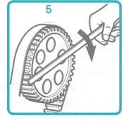 15804.jpg (19348 bytes)