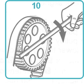 15904.jpg (37023 bytes)