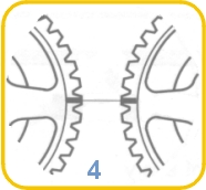 2203.jpg (18670 bytes)