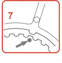 8503.jpg (18937 bytes)