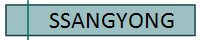 SSANGYONG